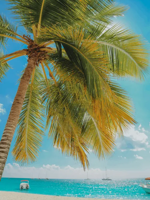 eSIM for Dominican Republic